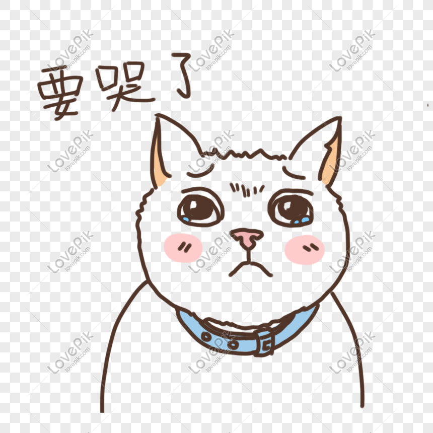 Meme Mèo Khóc, ảnh mèo khóc hài hước - QuanTriMang.com