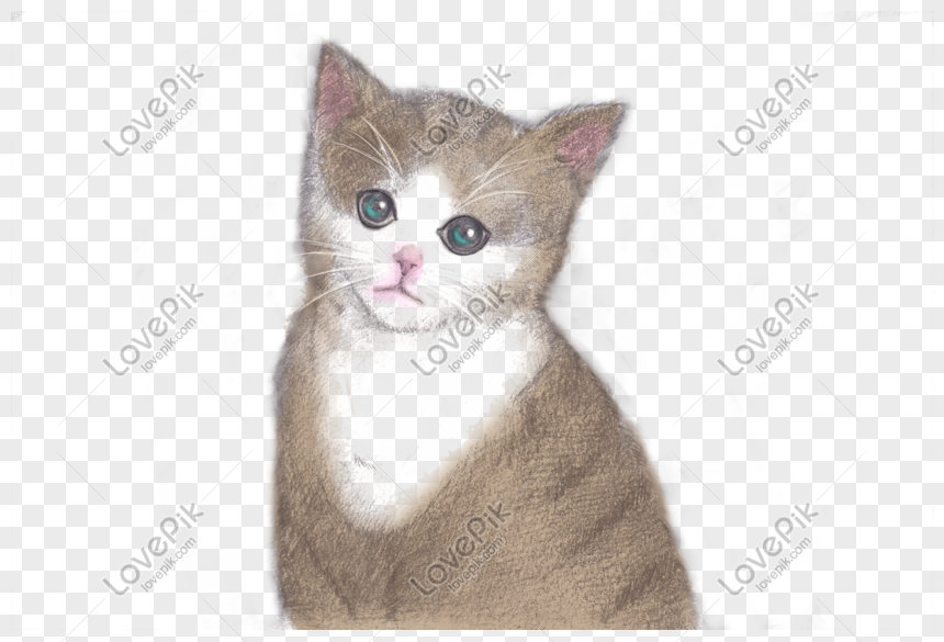 Kucing sketsa gambar 11 Contoh