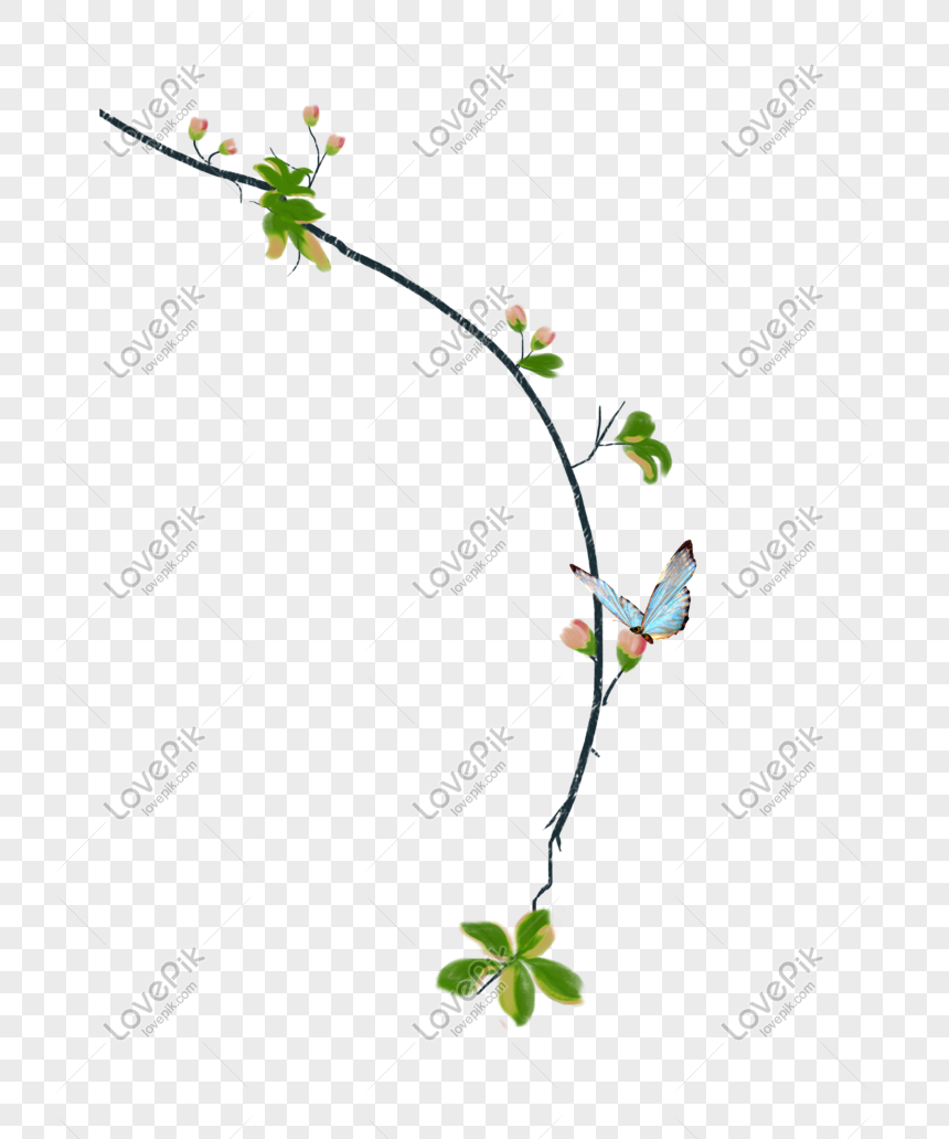 Ilustrasi Cabang Bunga Dan Kupu Kupu Segar Yang Indah Gambar Unduh