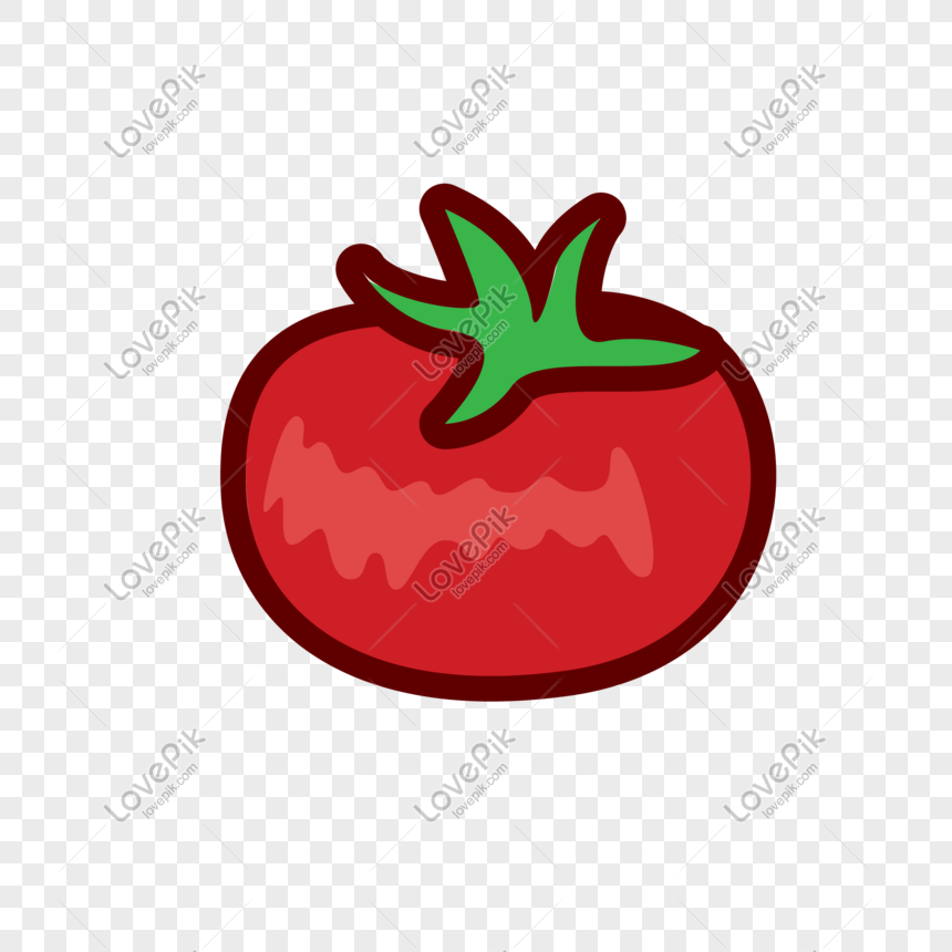 Tomato Vector Illustration Png Free PNG And Clipart Image For Free Download  - Lovepik | 610840529