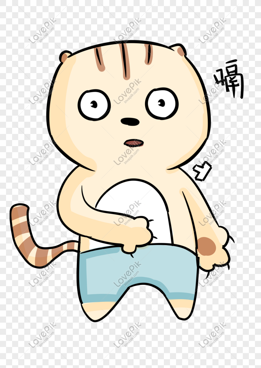 Ilustrasi Kucing Dengan Celana Jongkok Png Grafik Gambar Unduh