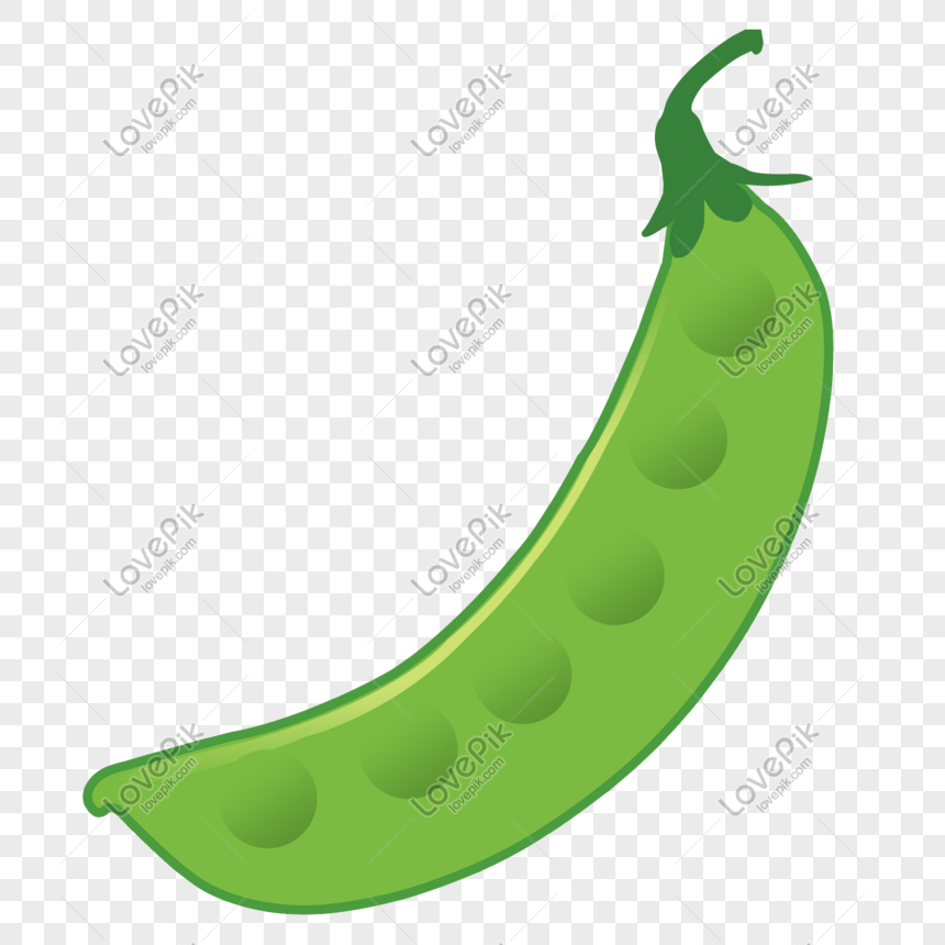 Standing Autumn Green Beans Cartoon Illustration PNG Hd Transparent Image  And Clipart Image For Free Download - Lovepik | 610856434