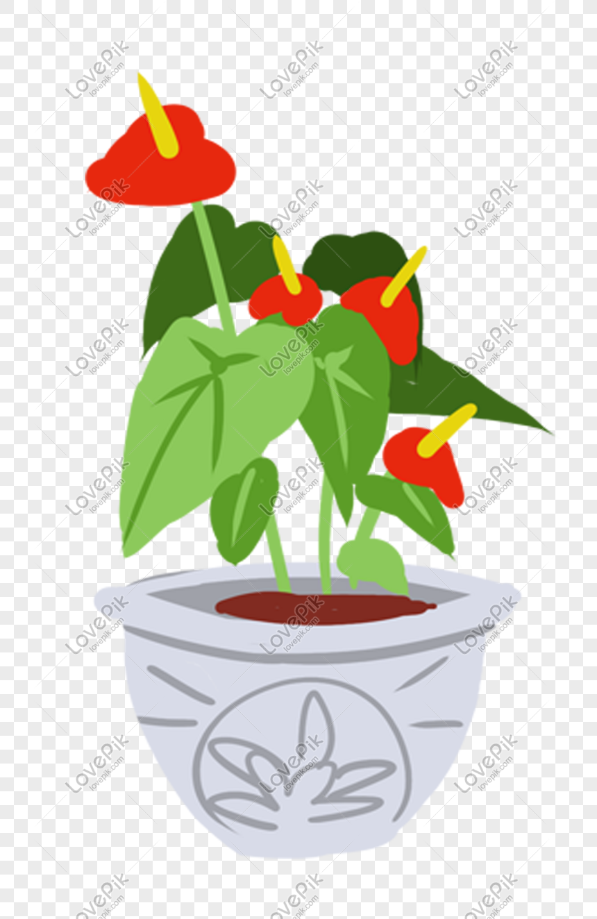 Ilustrasi Bunga Pot Tanaman Hias Yang Digambar Tangan Png Grafik