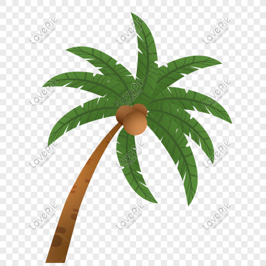 Green Coconut Tree Design PNG Transparent And Clipart Image For Free  Download - Lovepik | 610856346