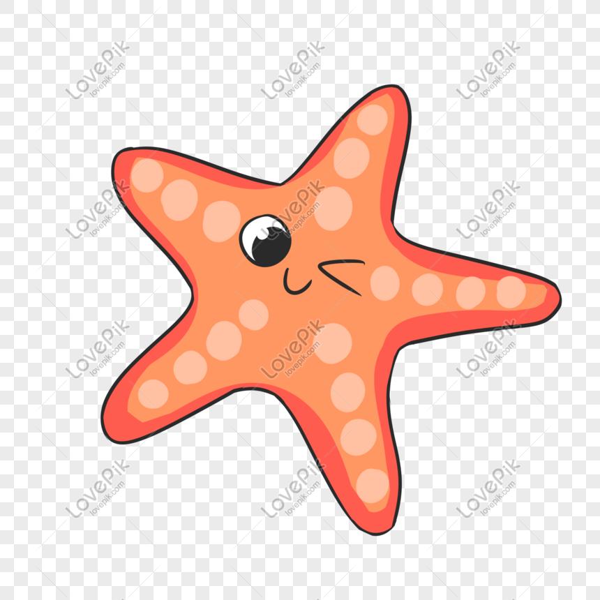 Cách vẽ ngôi sao biển đơn giản nhất là gì?
