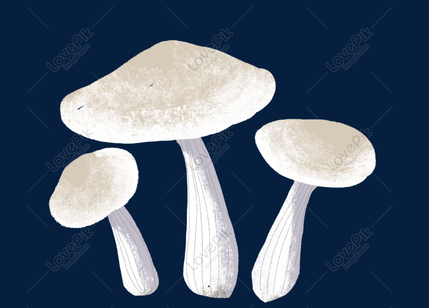 Hình vẽ nấm: Hãy khám phá một thế giới kỳ diệu của những chú nấm qua bộ sưu tập hình vẽ tuyệt đẹp này! Từ các loại nấm ăn được cho đến những loài nấm độc, tất cả đều được thể hiện với độ chi tiết tuyệt vời. Sẽ thật thú vị khi bạn có thể đặt chân vào thế giới huyền bí này chỉ bằng cách xem những bức tranh tuyệt đẹp này! Translation: Mushroom Drawings: Explore a fascinating world of mushrooms through this beautiful collection of drawings! From edible mushrooms to poisonous ones, all are depicted with great detail. It will be so exciting to step into this mysterious world just by looking at these wonderful paintings!