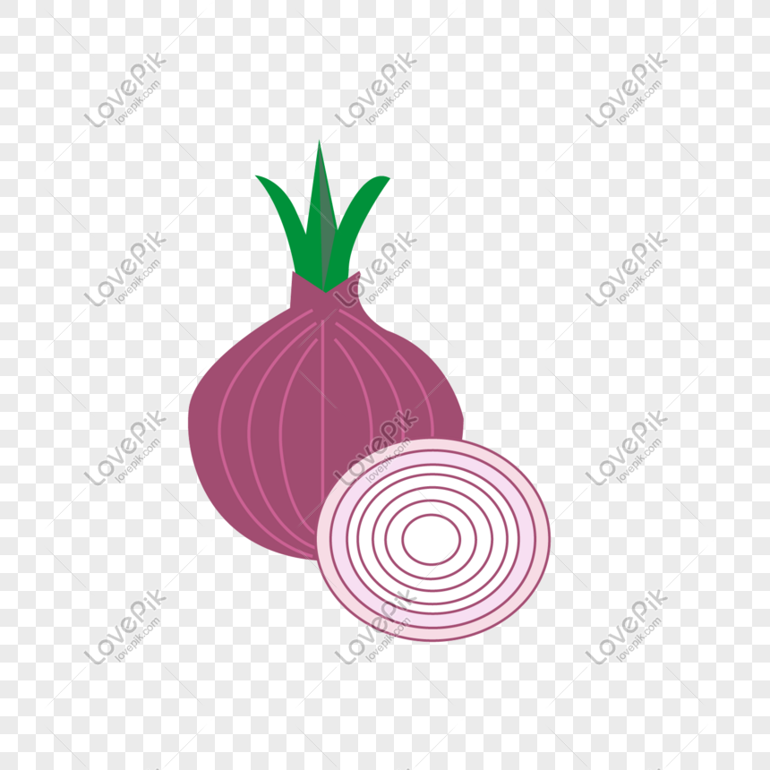 Summer Onion Cartoon Hand Drawn Png Download PNG White Transparent And  Clipart Image For Free Download - Lovepik | 610895222