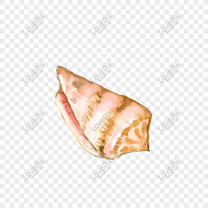 Watercolor Beach Conch Illustration, Submarine Ornament, Marine ...