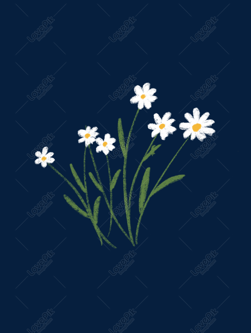 Vẽ hoa nhỏ không chỉ giúp bạn thư giãn và tập trung, mà còn tạo ra những tác phẩm nghệ thuật tuyệt đẹp và đầy tính ứng dụng. Hãy thử sức với bộ sưu tập những bản vẽ hoa nhỏ đẹp mắt trên trang web của chúng tôi.
