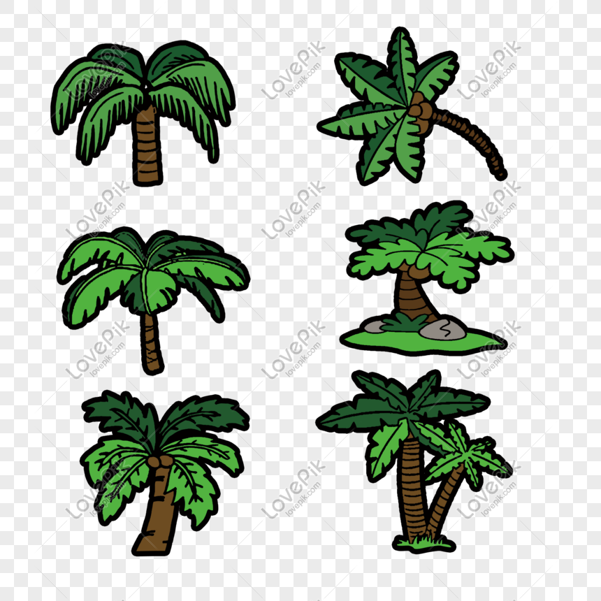 Green Coconut Tree PNG Images With Transparent Background | Free ...