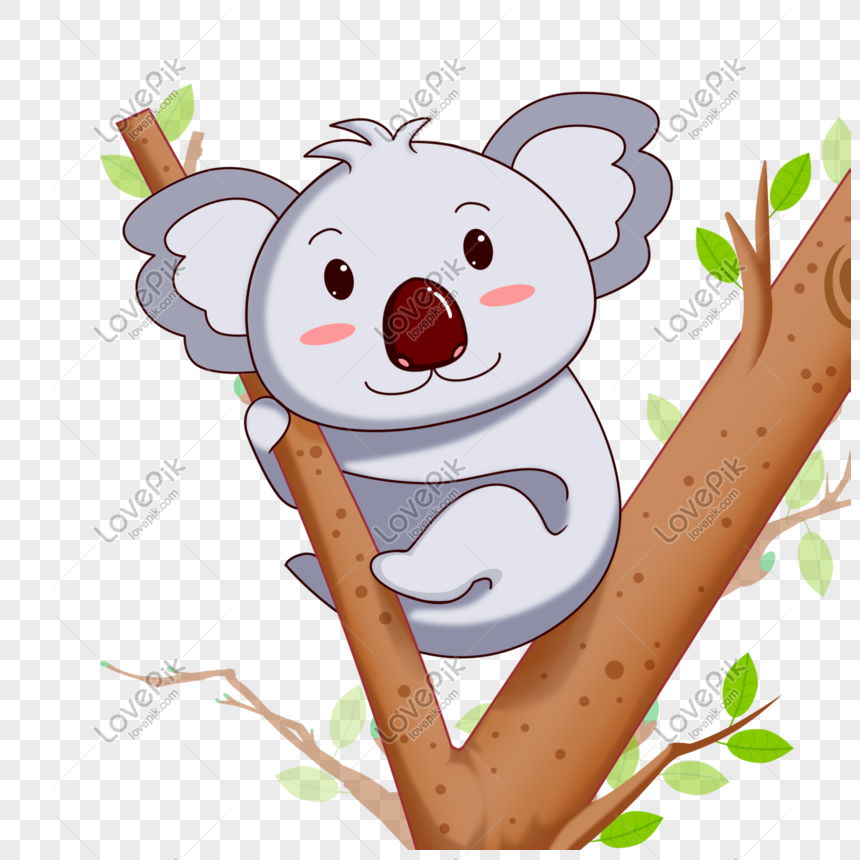 Wallpaper Gambar Koala Lucu Animasi  WallpaperShit