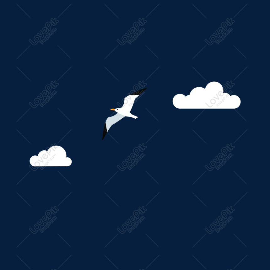 Gaviota Y Png Blanco Imagenes De Graficos Png Gratis Lovepik