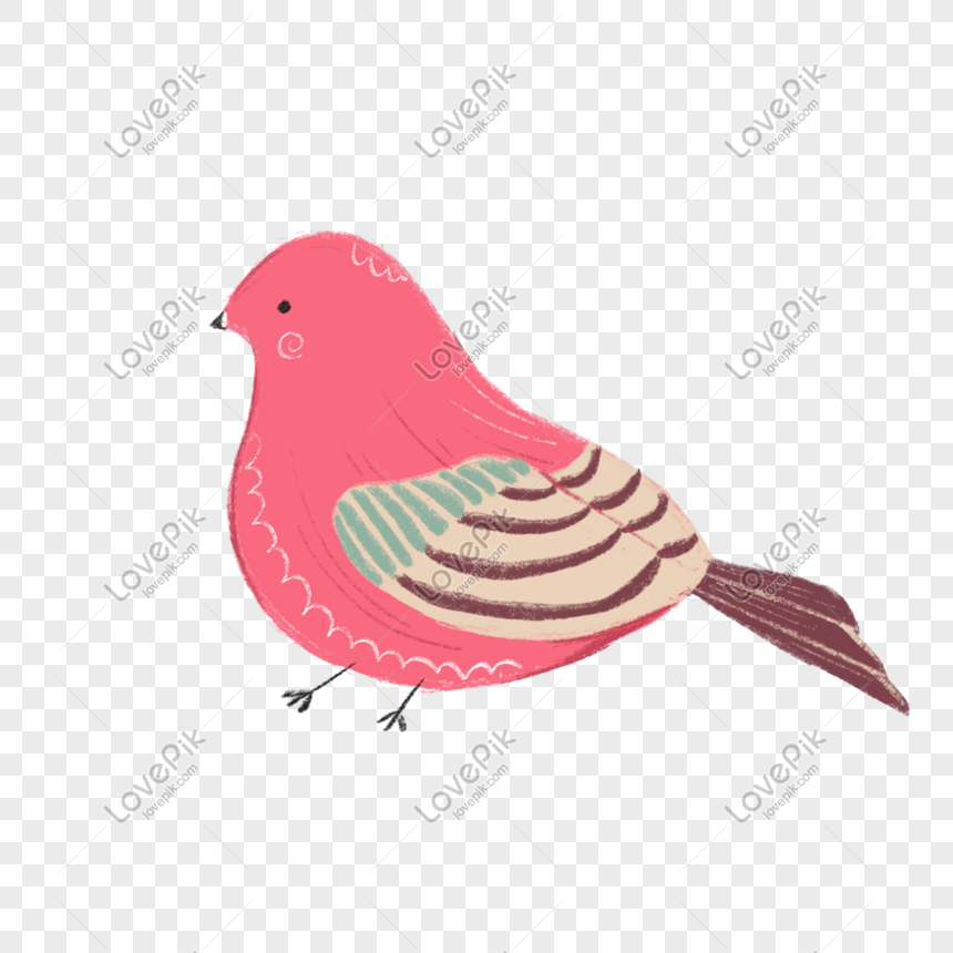 Descargar Pájaro Rojo Dibujado A Mano PNG Imágenes Gratis - Lovepik