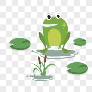 Sitting Frog PNG Images With Transparent Background | Free Download On ...