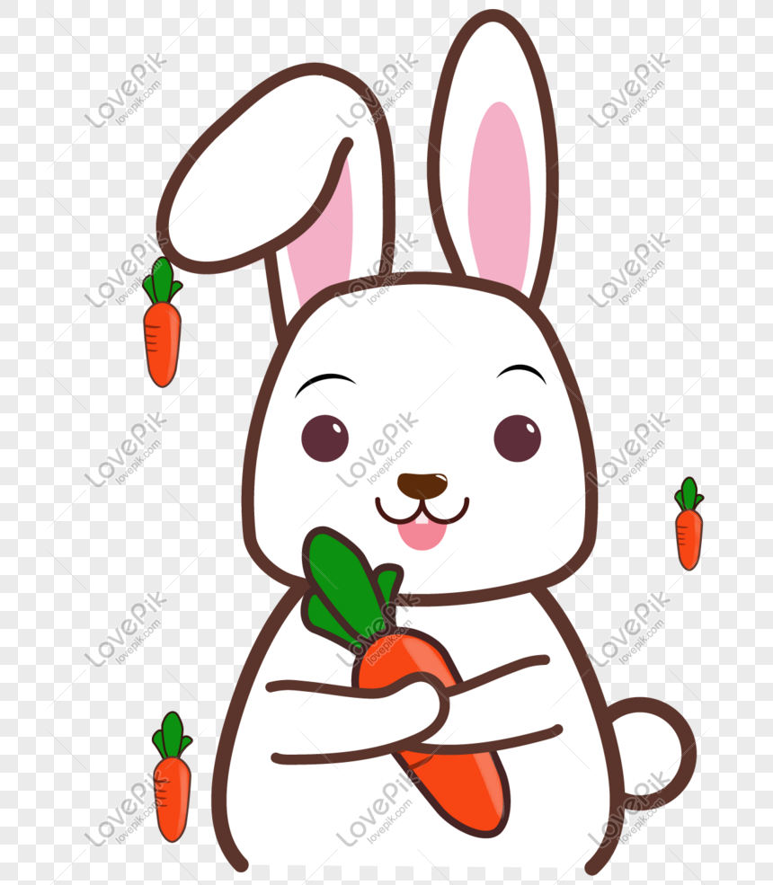 10000+ Con thỏ & hình ảnh con thỏ con đẹp nhất - Pixabay