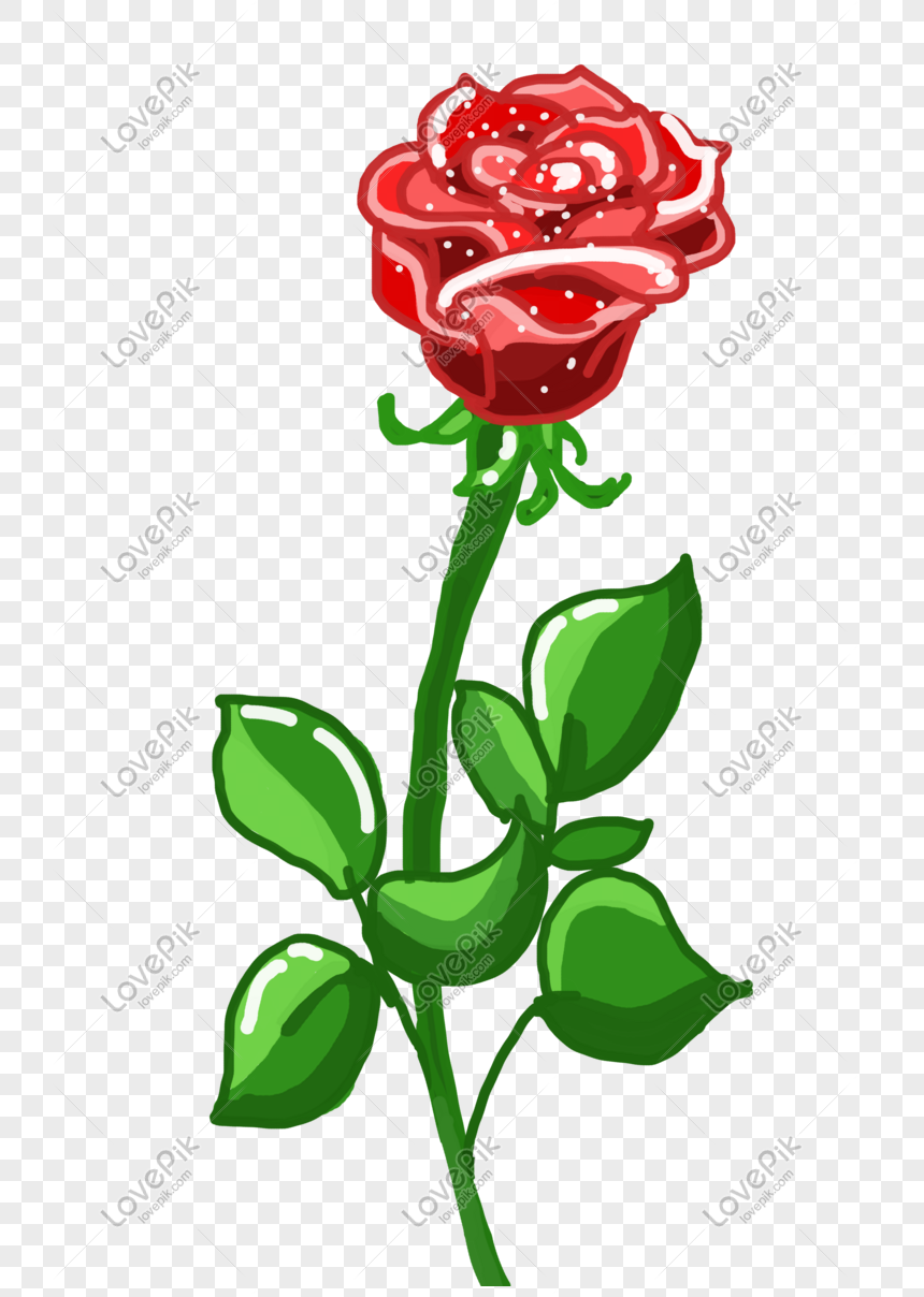 Ilustrasi Bunga Mawar Yang Digambar Tangan Png Grafik Gambar Unduh