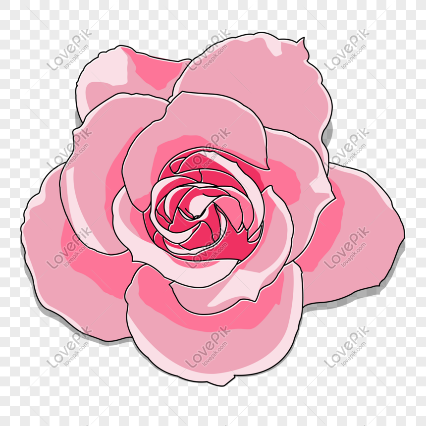 Merah Muda Romantis Hari Valentine Bunga Mawar Png Grafik Gambar Unduh Gratis Lovepik