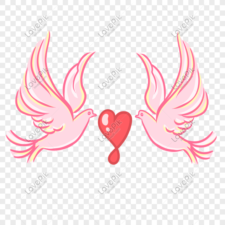 Love Birds Images, HD Pictures For Free Vectors Download 
