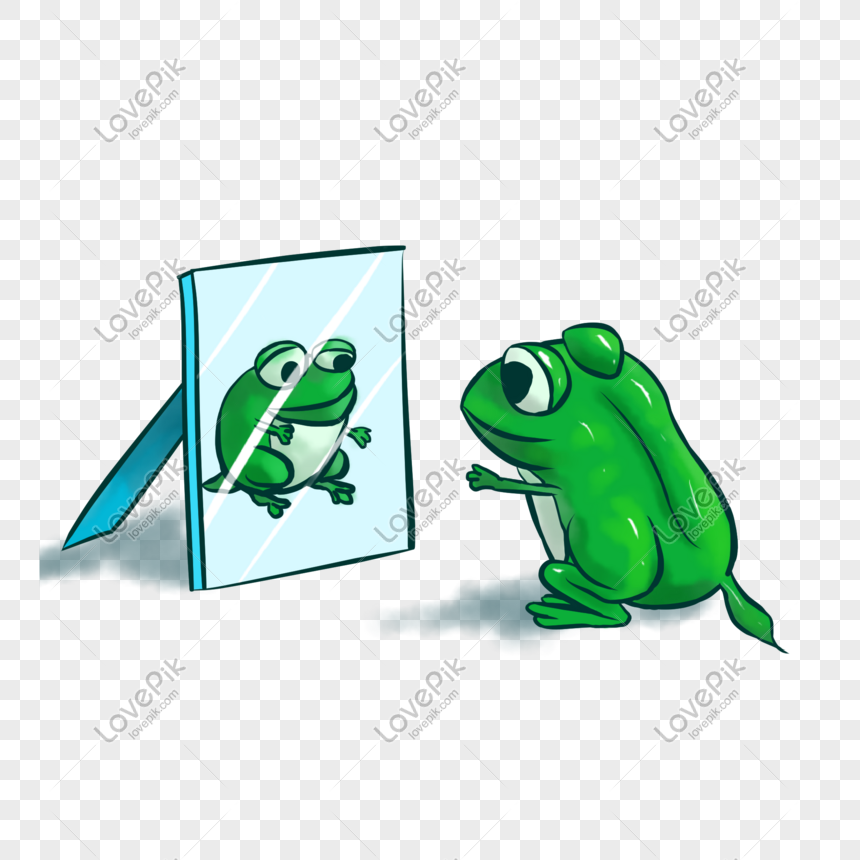 Frog mirror clearance