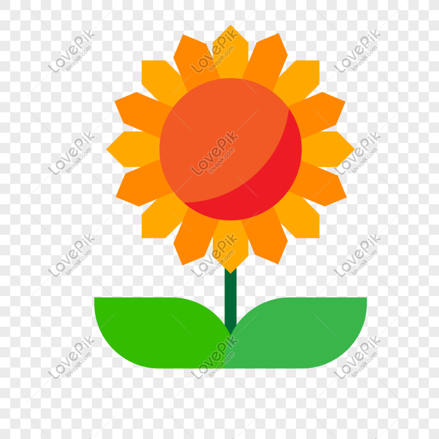 Ilustrasi Vektor Bunga Matahari Png Gratis Png Grafik Gambar Unduh Gratis Lovepik