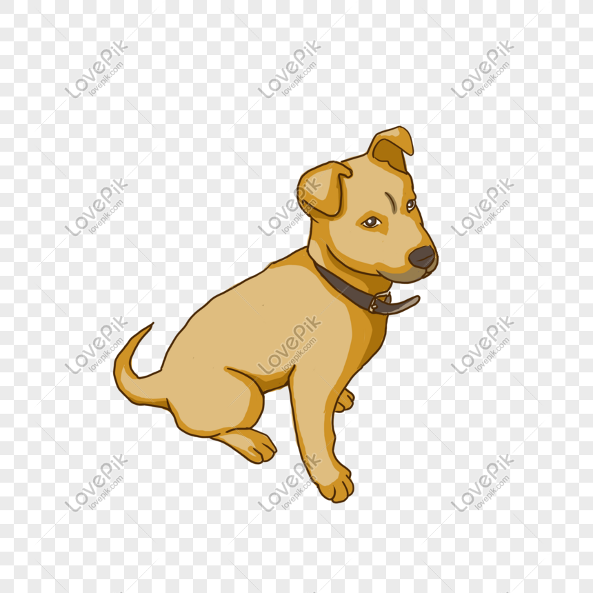 Những chú chó nhỏ màu vàng thường rất đáng yêu và đáng yêu. Hãy xem hình ảnh của những chú chó đáng yêu này để cảm nhận được trái tim mềm yếu!