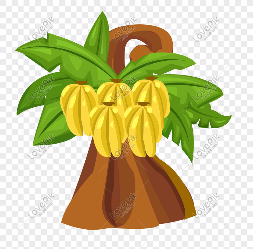 Cartoon Hand Drawn Banana Tree Vector PNG Transparent Image And Clipart  Image For Free Download - Lovepik | 611012917