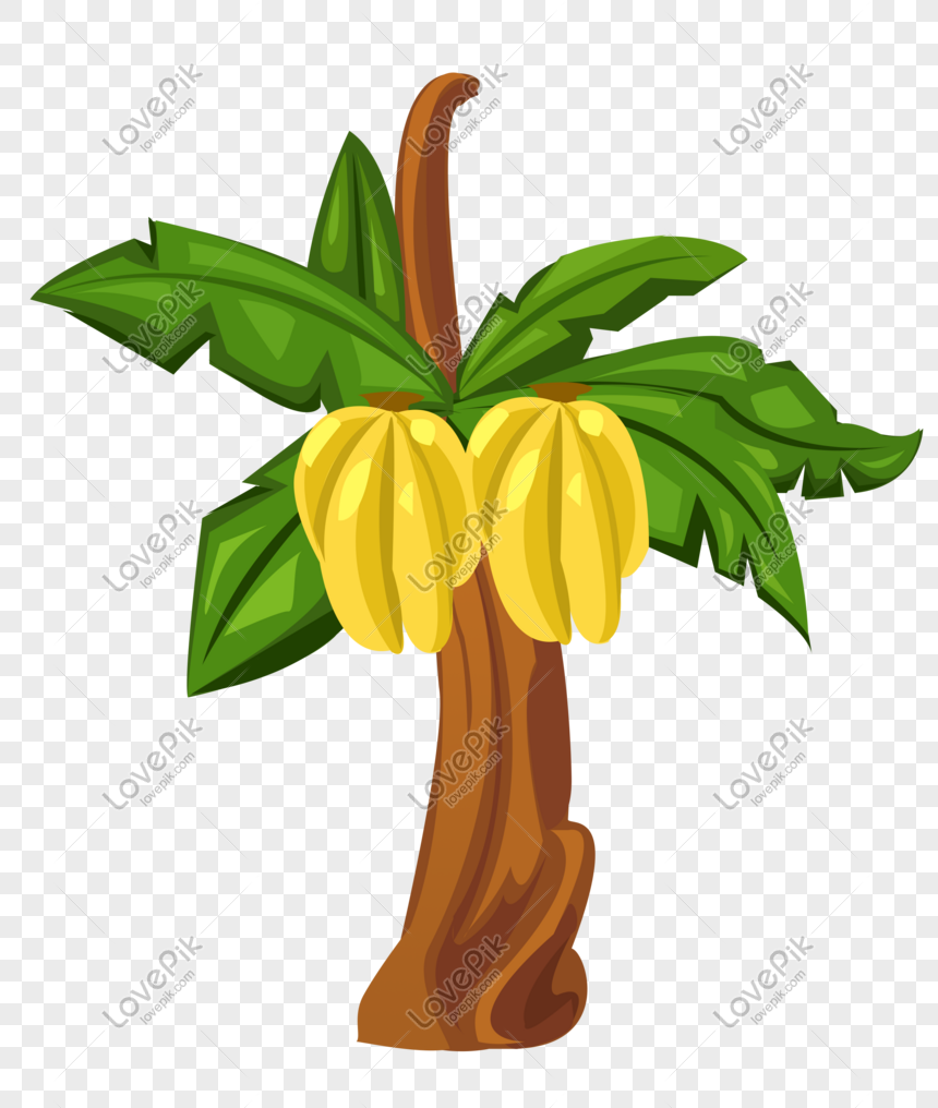 Cartoon Hand Drawn Banana Tree Vector PNG Picture And Clipart Image For  Free Download - Lovepik | 611012915