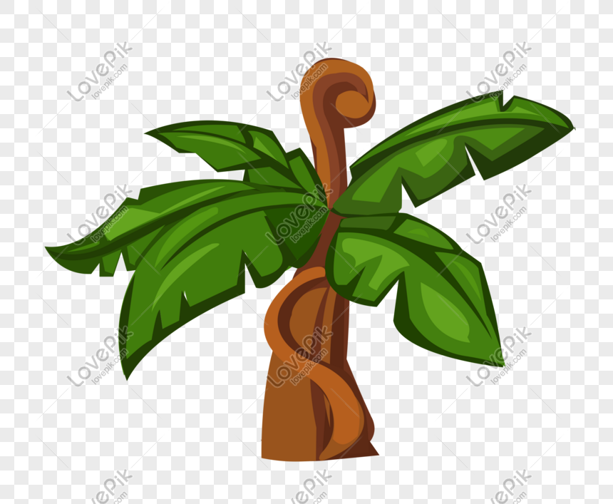 Cartoon Hand Drawn Banana Tree Vector PNG Transparent And Clipart Image For  Free Download - Lovepik | 611012916