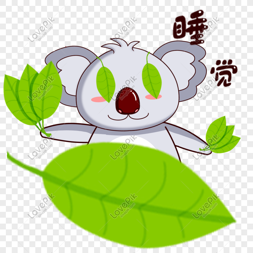 Cartoon Koala Expression Sleeping PNG White Transparent And Clipart Image  For Free Download - Lovepik | 611016332