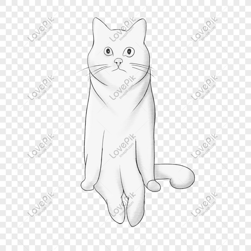  Ilustrasi  Kartun Kucing Hewan  Kucing Cairan Lucu Gambar