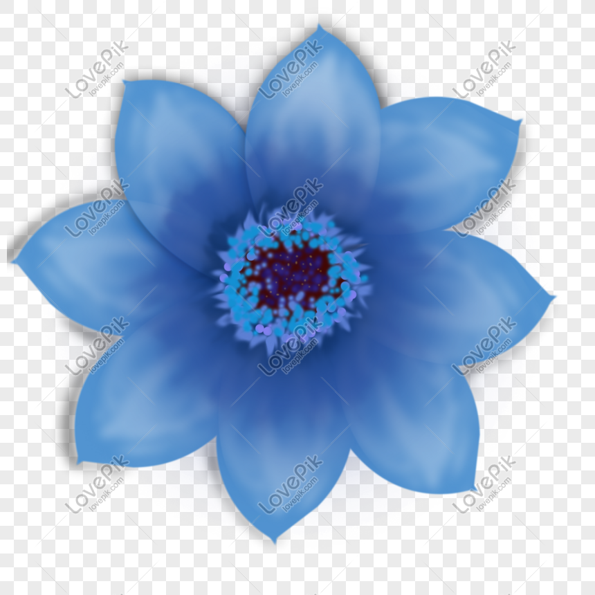 Ilustración De Flor Azul Png PNG Imágenes Gratis - Lovepik