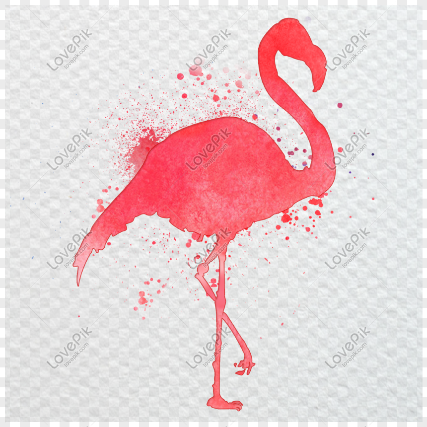 photo de flamant rose tachete a laquarelle numero de l image611055494 format d image psd fr lovepik com photo de flamant rose tachete a