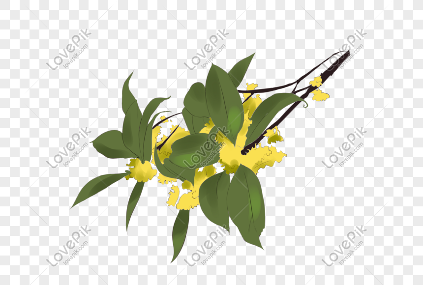 Họa PNG hoa cúc là một trong những tác phẩm nghệ thuật đẹp mắt nhất mà bạn chưa từng thấy. Gần gũi với thiên nhiên và mang đến sự sống động cho bức tranh, họa tiết cúc hoa sẽ khiến bạn say mê ngay từ cái nhìn đầu tiên.