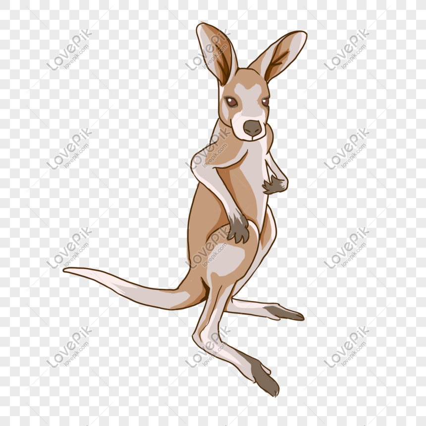 Baby Kangaroo Hand Drawn Stick Figure PNG Transparent And Clipart Image For  Free Download - Lovepik | 611078526