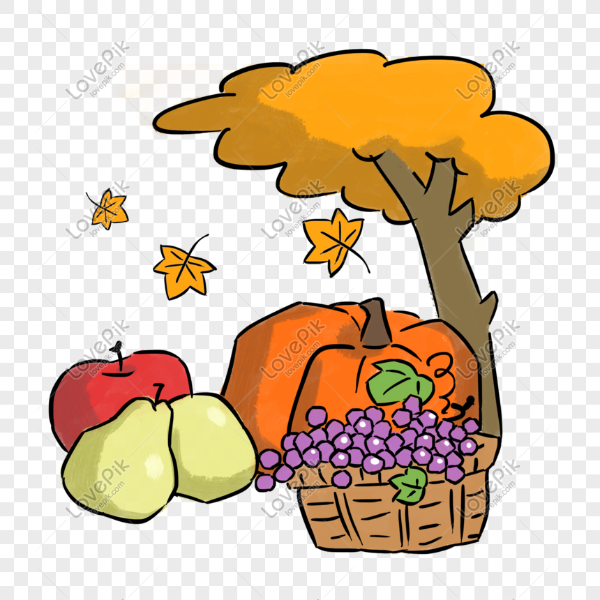Tema De Otoño Frutas Y Verduras A Mano Ilustración Dibujada PNG Imágenes  Gratis - Lovepik