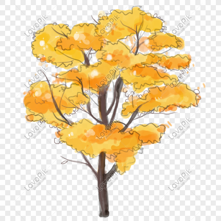 Nhìn cây lá vàng rực rỡ trong mùa thu, bạn có cảm thấy hạnh phúc và bình yên không? Hôm nay chúng ta sẽ cùng chiêm ngưỡng một bức tranh vẽ cây lá vàng thiên nhiên dễ thương và đẹp mắt. Chắc chắn sẽ làm bạn cảm thấy thật tuyệt vời và sống động.