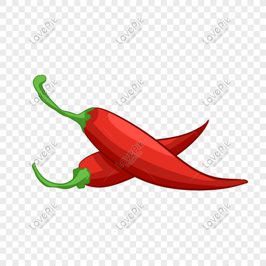Red Chili Hand Drawn Cartoon Illustration Png Image Picture Free