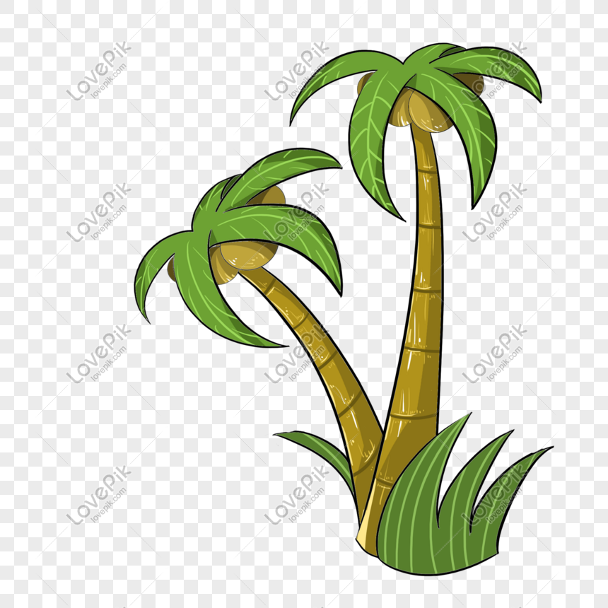 Cartoon Hand Drawn Coconut Tree Illustration Texture PNG Transparent  Background And Clipart Image For Free Download - Lovepik | 611140870