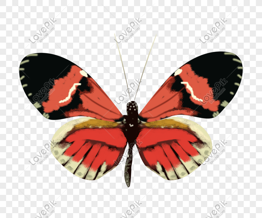 Chinese Style Butterfly Hand Drawn Png Download Png Image Picture