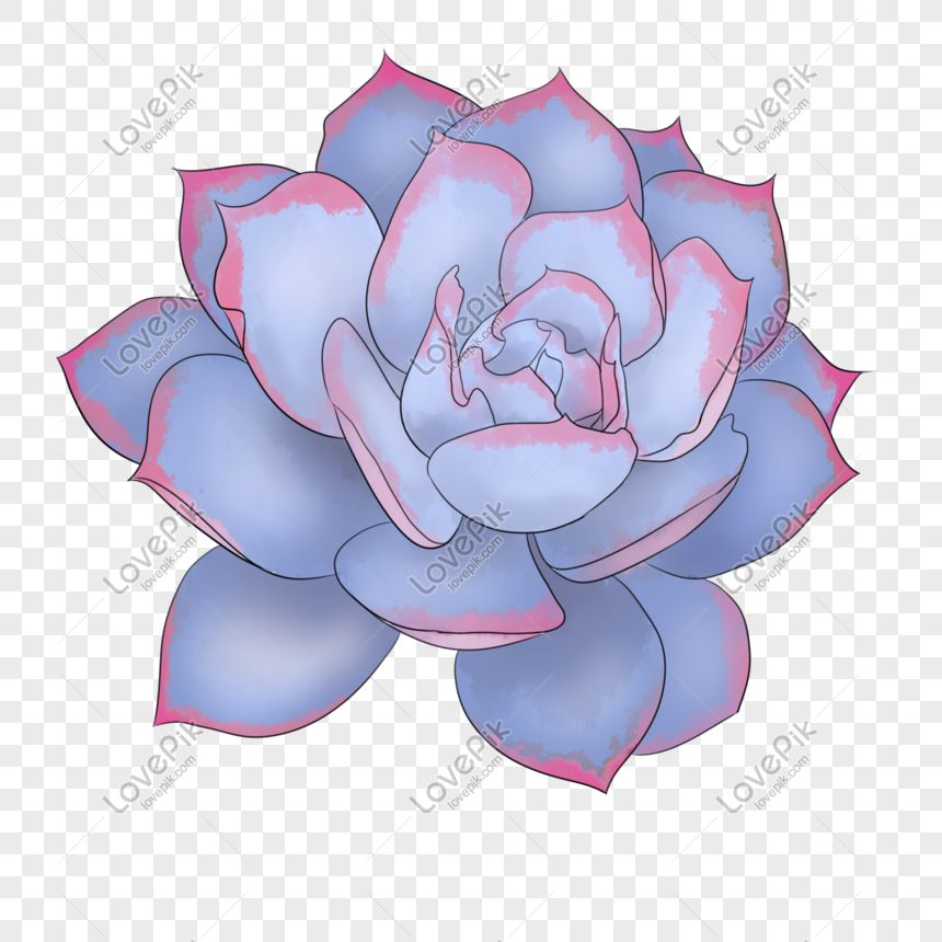 Hãy khám phá những hình ảnh Blue Lotus PNG đầy màu sắc và cực kỳ độc đáo. Với những hình ảnh liên quan này, bạn sẽ có cơ hội tìm hiểu và khám phá thế giới nghệ thuật đa dạng của hoa sen.