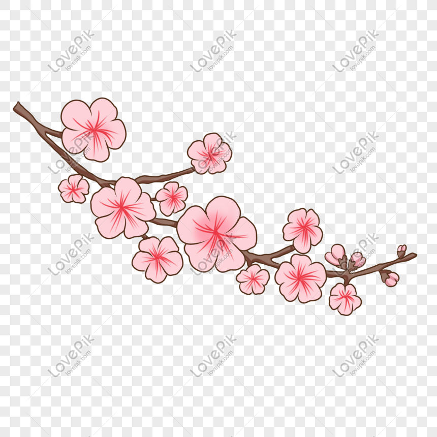 Dibujado A Mano Ilustración Flor De Durazno Flor PNG Imágenes Gratis -  Lovepik