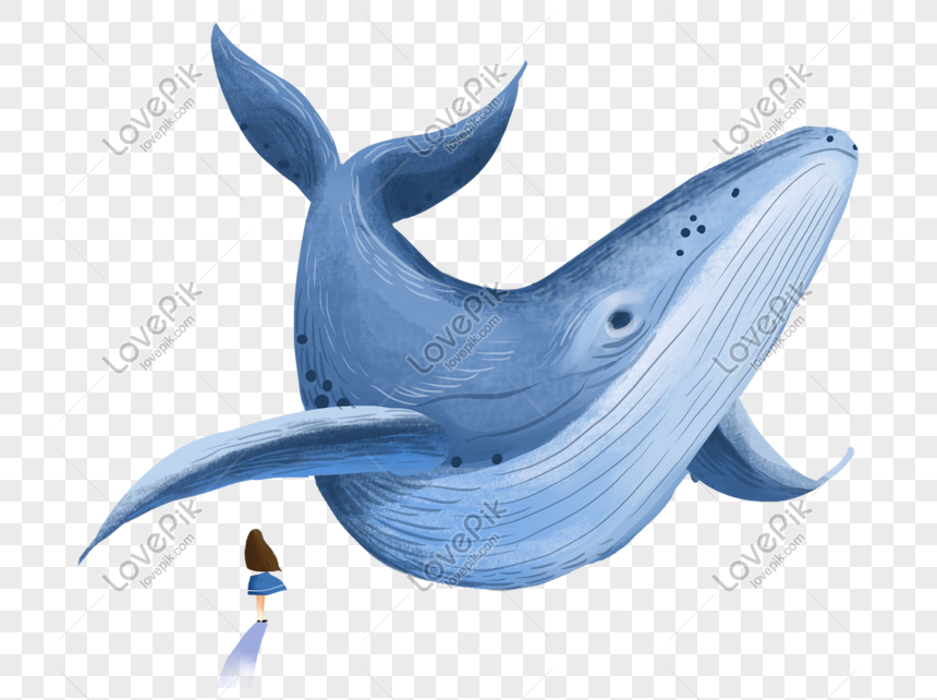 シロナガスクジラの夢のような手描きイラストイメージ グラフィックス