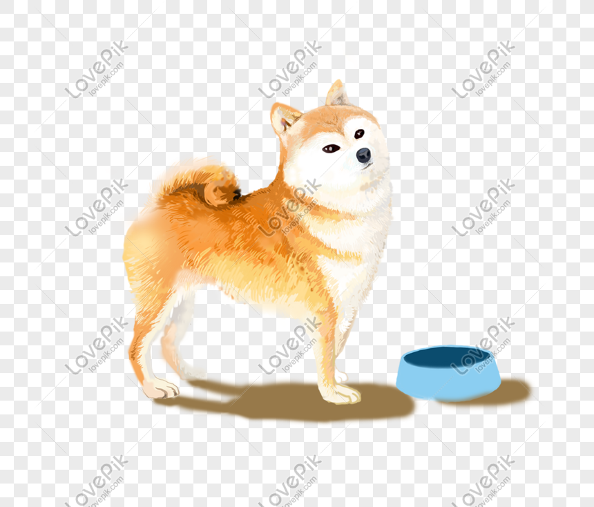 Bạn thực sự muốn nhìn thấy những hình ảnh đáng yêu của chó Akita? Hãy xem qua bộ sưu tập ảnh chủ đề Nhỏ Dễ Thương Akita của chúng tôi. Chó Akita là một giống chó rất dễ thương và được yêu thích bởi nhiều người.