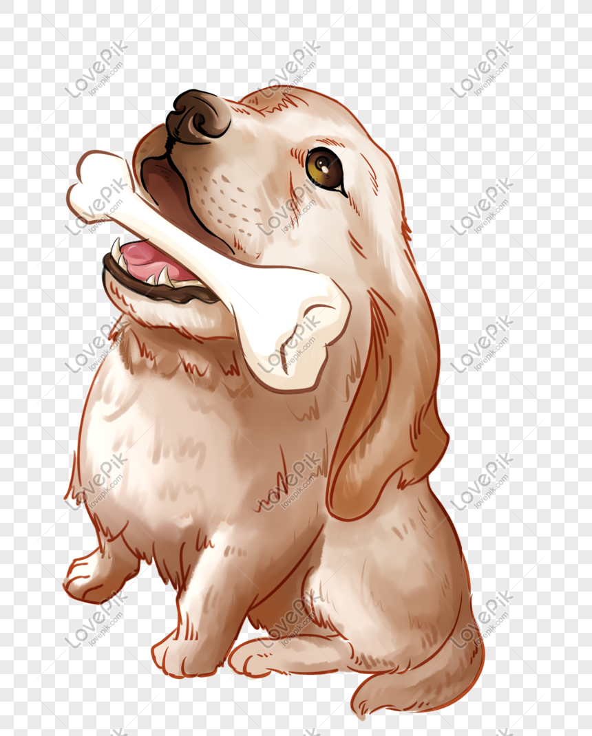 動物ゴールデンレトリーバー犬ペットの骨かわいい無料マップpng イラスト， かわいい, 手描き, リアリズム フリー素材 透過 Lovepik
