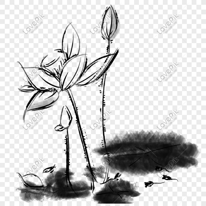 Black And White Ink Ancient Wind Lotus PNG Image And Clipart Image ...