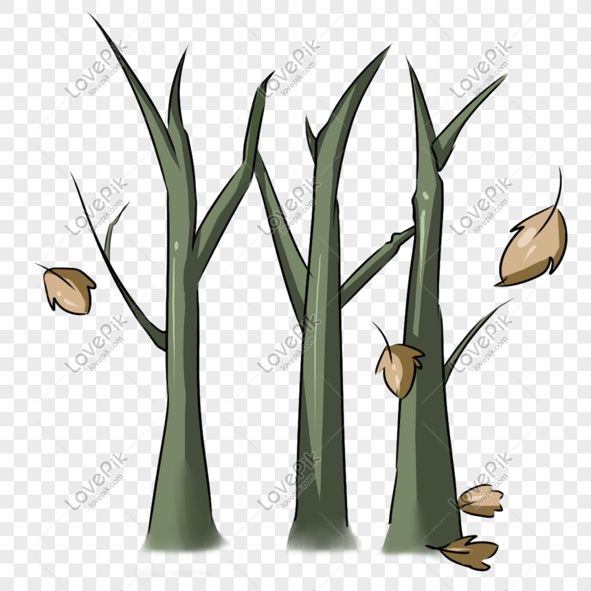 Camomias lá khô héo có vẻ ngoài như không còn giá trị nữa, nhưng trong thực tế lại mang lại nhiều lợi ích cho sức khỏe. Hãy xem hình ảnh của chúng để biết thêm thông tin về công dụng tuyệt vời của camomias lá.