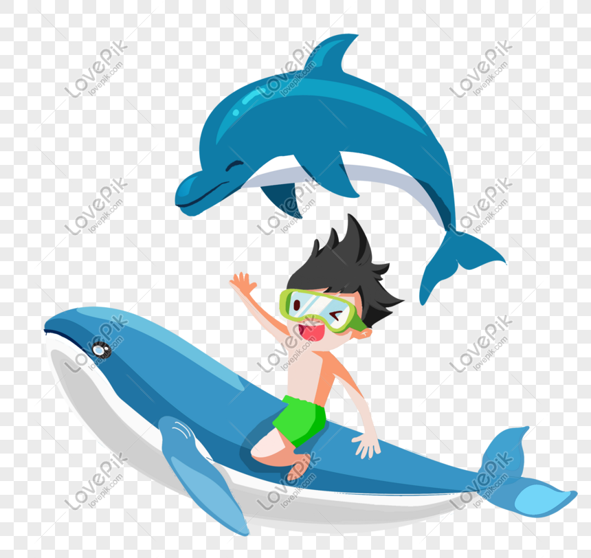 Hand Drawn Water Park Dolphin Show Free PNG And Clipart Image For Free  Download - Lovepik | 611236009