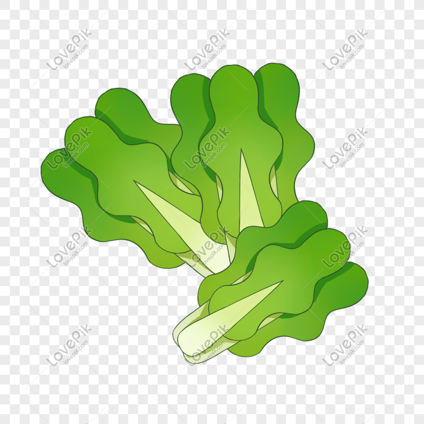 Rau Cải Bắp, Vector PNG: Đây là một hình ảnh tuyệt vời về rau cải bắp với định dạng Vector PNG. Bạn sẽ thấy được đường nét tinh tế và sắc nét của rau cải bắp. Bạn sẽ không thể bỏ lỡ hình ảnh này.