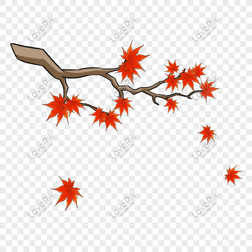 手描き植物のカエデの葉のイラストイメージ グラフィックス Id Prf画像フォーマットpsd Jp Lovepik Com
