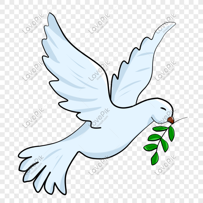 Dove Cartoon PNG Images With Transparent Background | Free Download On  Lovepik